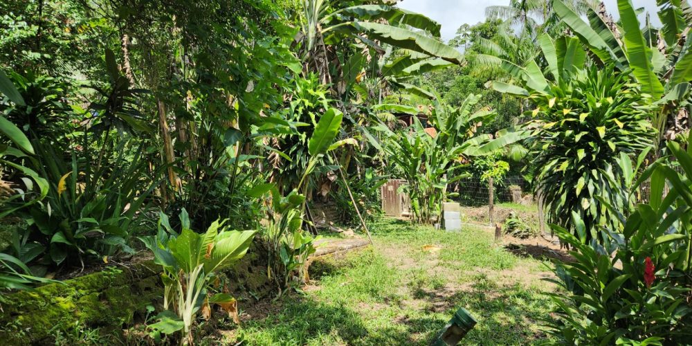 8396e16b-586a-4c52-a8c5-6420b035499c