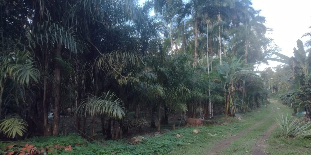 889bdd7d-5b72-47d4-b143-b5cb9c434d42