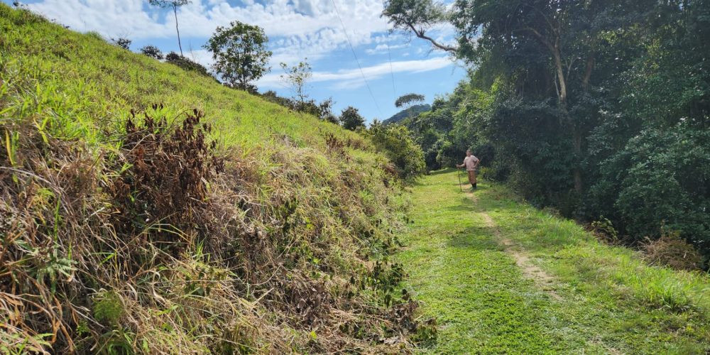 891e3a49-5dfa-490b-8286-7b4dc52fdcdf