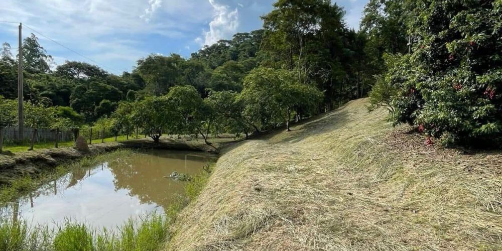 8b0a8cfb-e045-4feb-a710-33d054fc11f4