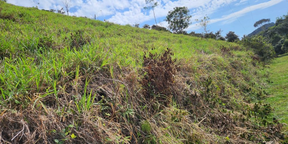 960aece7-0ab0-4fa3-b212-15424476ceab