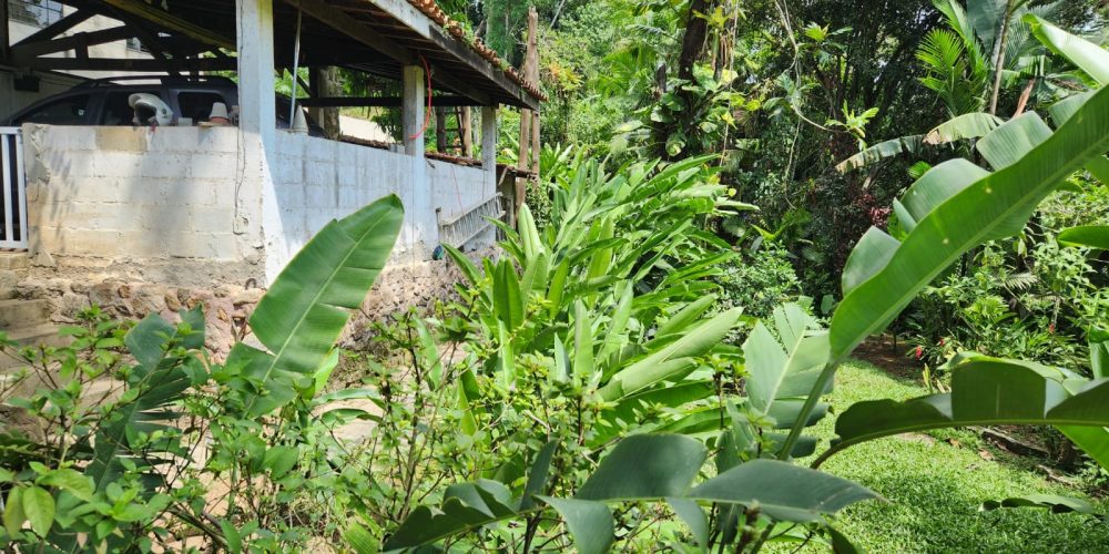 9781c5d5-a355-451e-a74d-6a74c2ecd56d