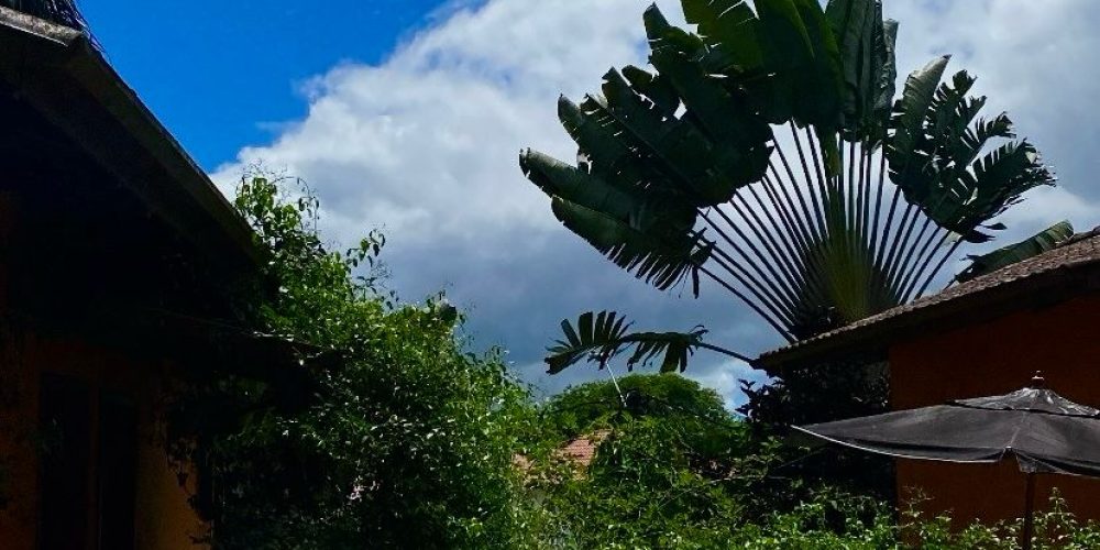 9eb9e7f6-b780-471e-8451-8837e614ba11