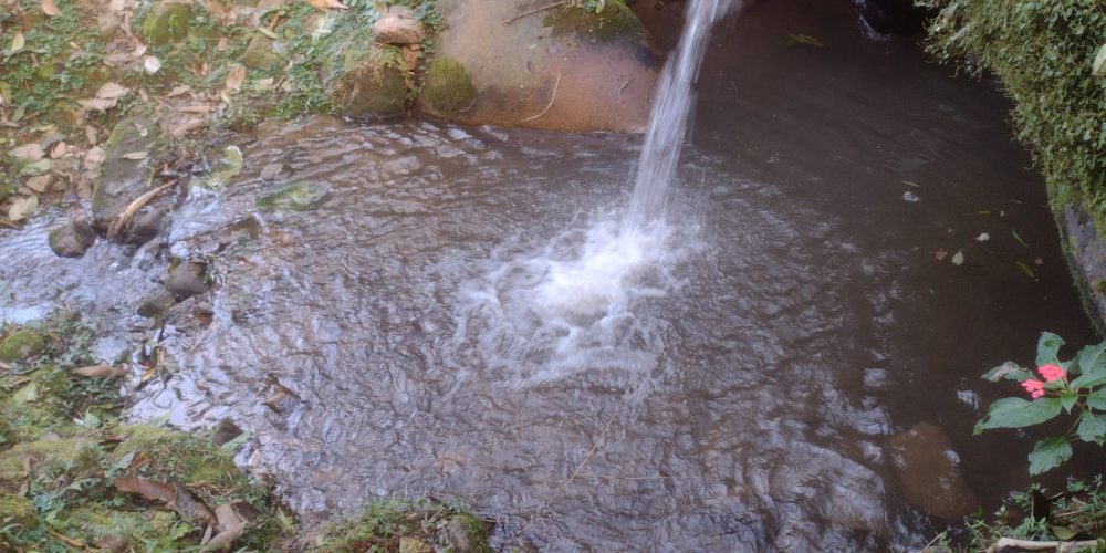 9f5db420-67f4-4ad5-8143-af1ff1a16b28