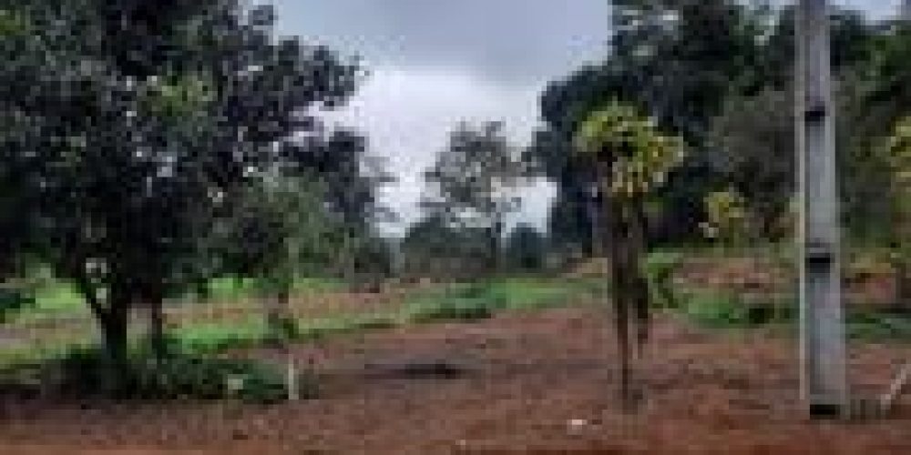 WhatsApp Image 2025-04-21 at 10.41.03