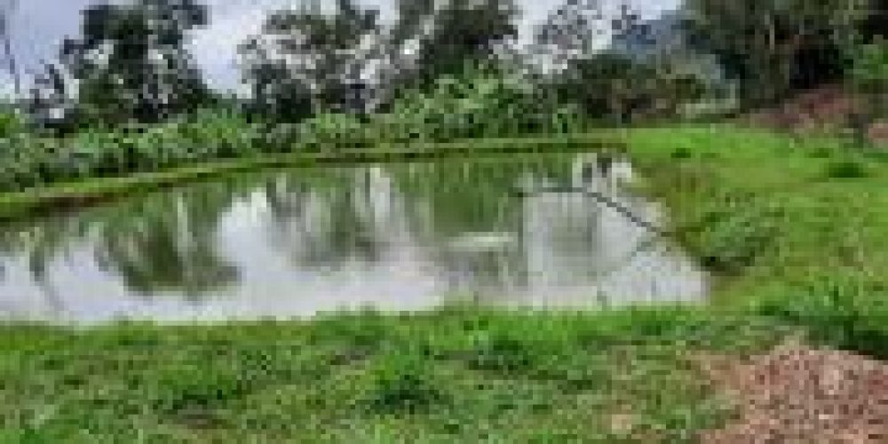 WhatsApp Image 2025-04-21 at 10.41.04 (1)