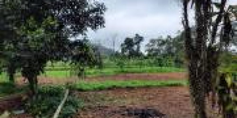 WhatsApp Image 2025-04-21 at 10.41.04 (2)