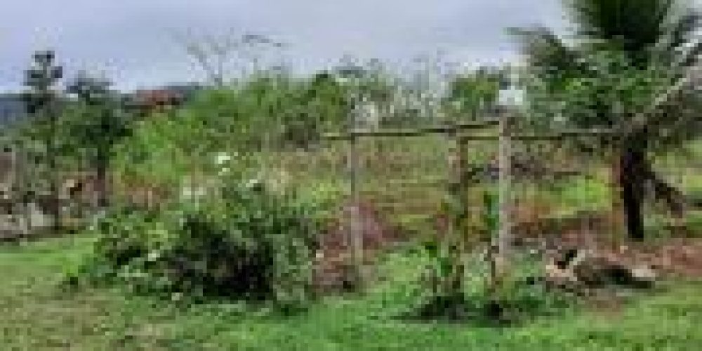 WhatsApp Image 2025-04-21 at 10.41.04