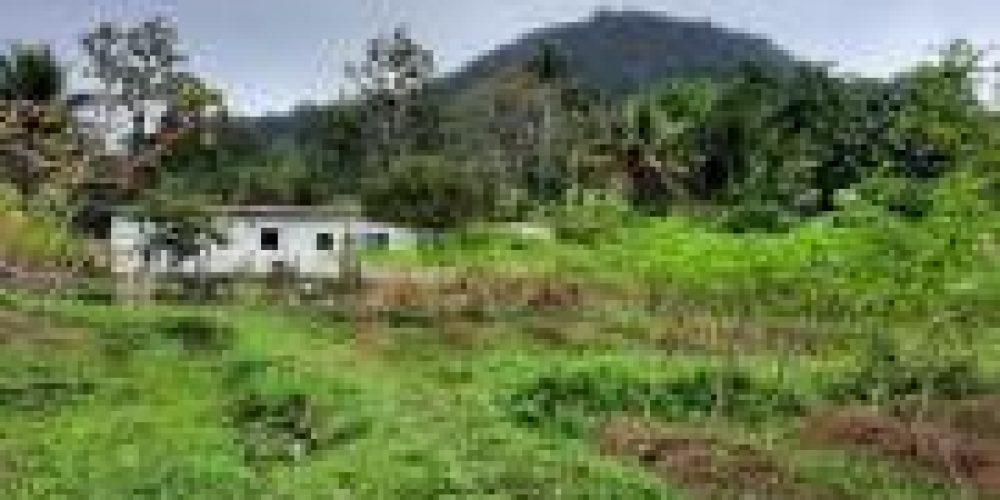 WhatsApp Image 2025-04-21 at 10.41.05 (1)