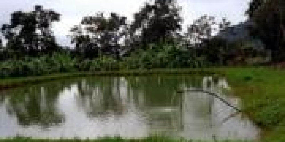 WhatsApp Image 2025-04-21 at 10.41.05 (2)