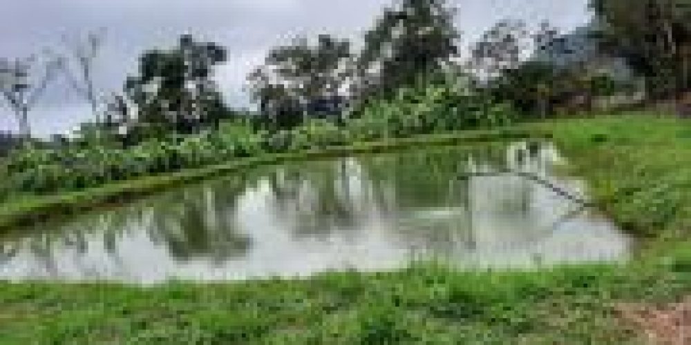 WhatsApp Image 2025-04-21 at 10.41.05