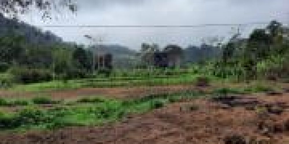 WhatsApp Image 2025-04-21 at 10.41.06 (1)