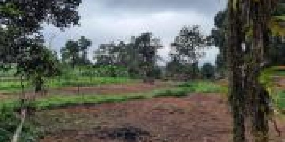 WhatsApp Image 2025-04-21 at 10.41.06 (2)