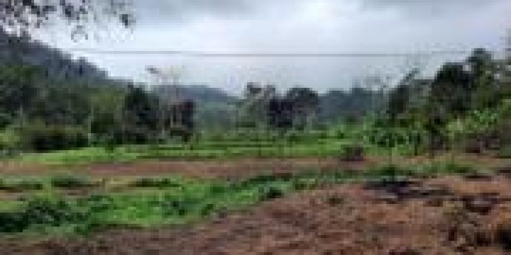 WhatsApp Image 2025-04-21 at 10.41.06