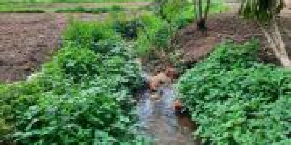 WhatsApp Image 2025-04-21 at 10.41.07 (1)