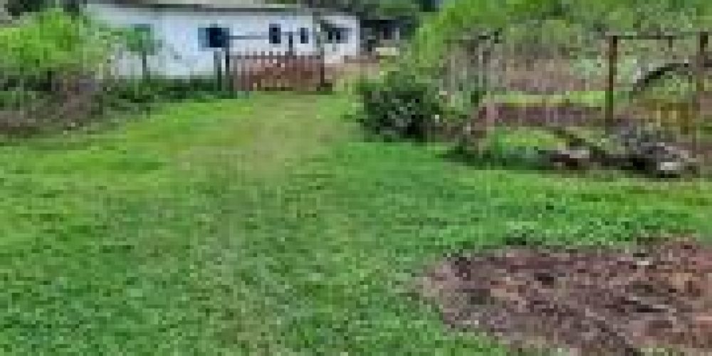 WhatsApp Image 2025-04-21 at 10.41.07 (3)