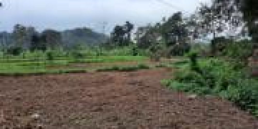 WhatsApp Image 2025-04-21 at 10.41.07