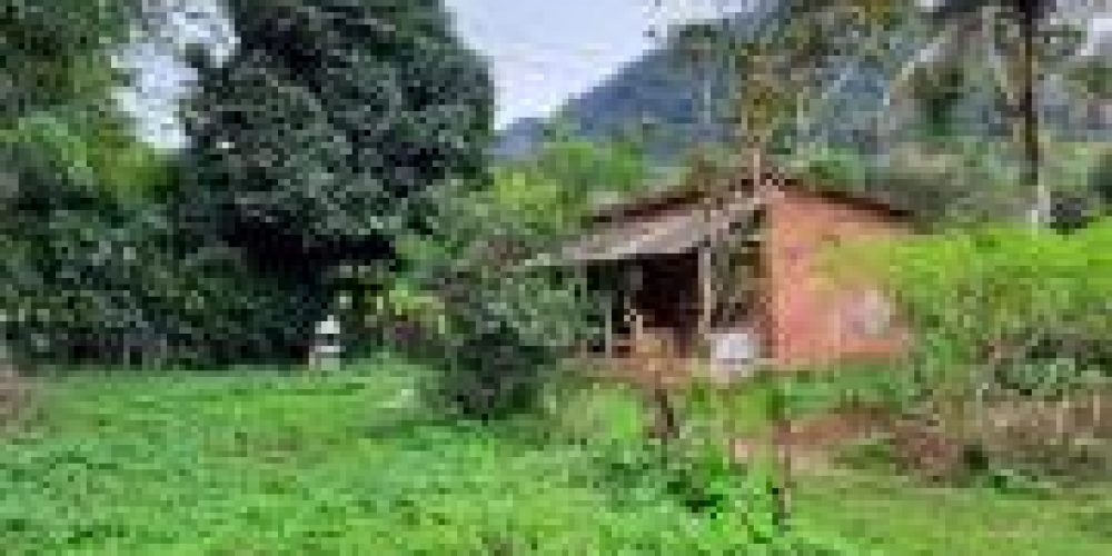 WhatsApp Image 2025-04-21 at 10.41.08 (2)