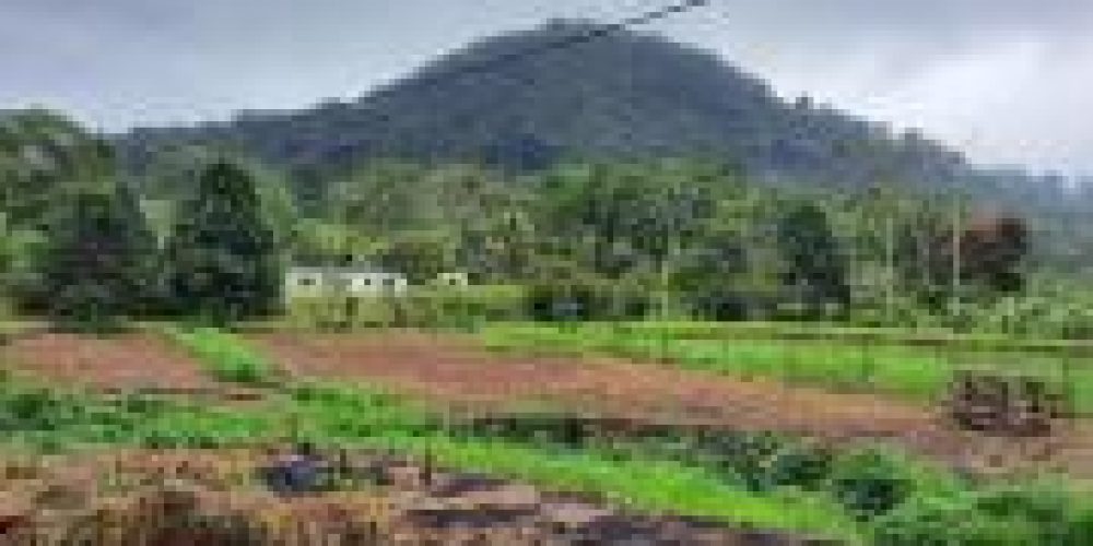 WhatsApp Image 2025-04-21 at 10.41.08