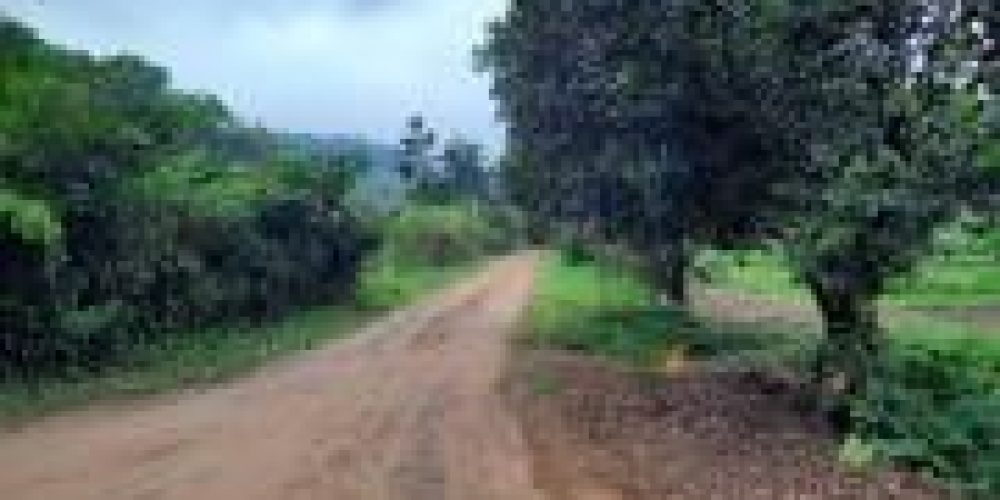 WhatsApp Image 2025-04-21 at 10.41.09 (1)