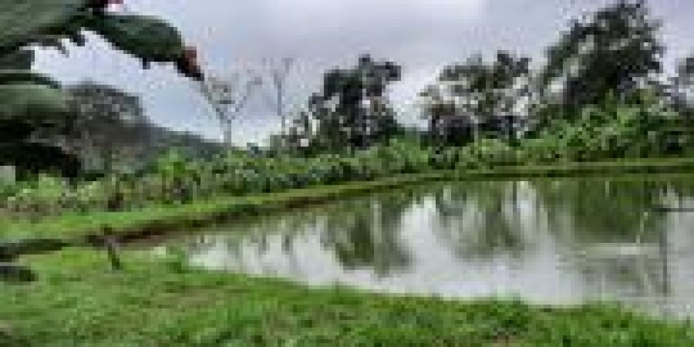 WhatsApp Image 2025-04-21 at 10.41.09 (2)