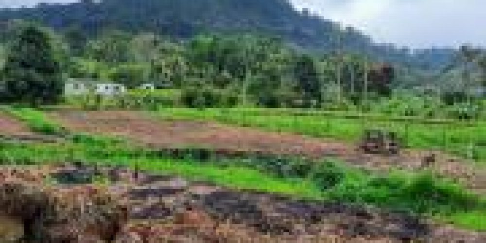 WhatsApp Image 2025-04-21 at 10.41.09