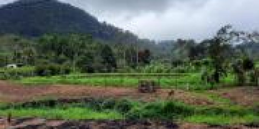 WhatsApp Image 2025-04-21 at 10.41.10 (1)