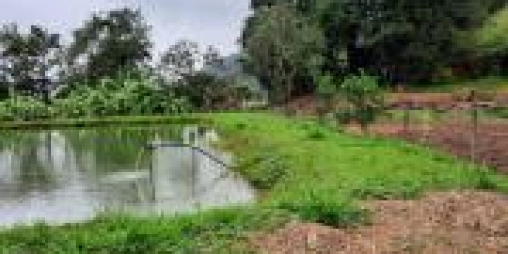 WhatsApp Image 2025-04-21 at 10.41.10 (2)