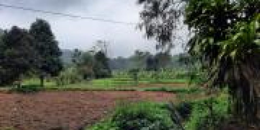 WhatsApp Image 2025-04-21 at 10.41.10