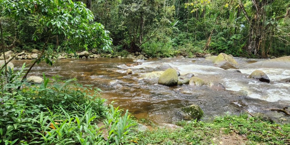 WhatsApp Image 2025-04-21 at 10.43.31