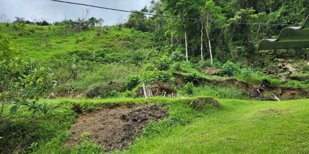 WhatsApp Image 2025-04-21 at 10.43.32 (2)