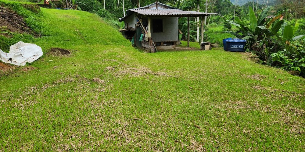 WhatsApp Image 2025-04-21 at 10.43.32