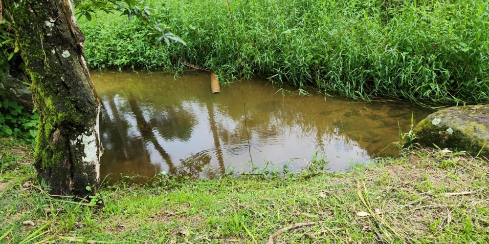 WhatsApp Image 2025-04-21 at 10.43.33 (2)