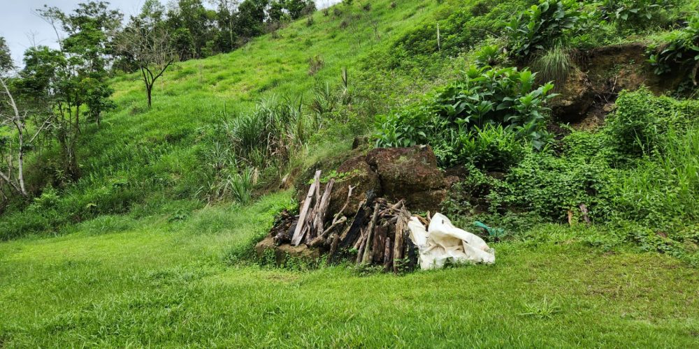 WhatsApp Image 2025-04-21 at 10.43.33