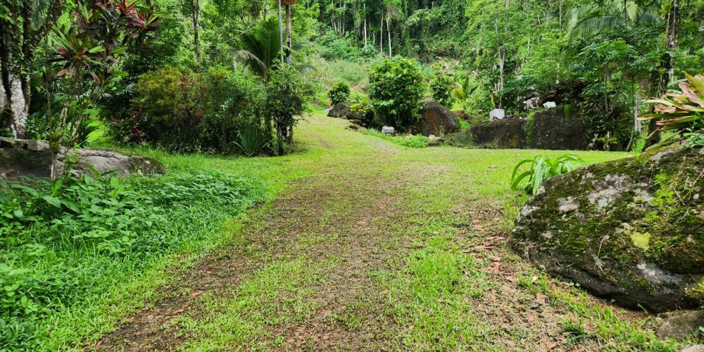 WhatsApp Image 2025-04-21 at 10.43.34 (3)