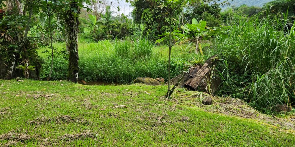 WhatsApp Image 2025-04-21 at 10.43.34