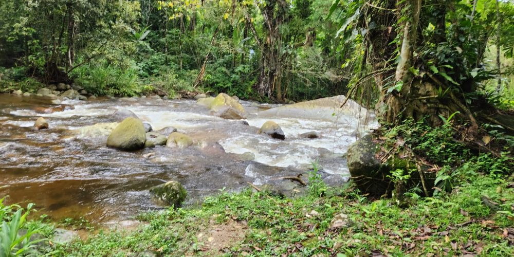 WhatsApp Image 2025-04-21 at 10.43.35