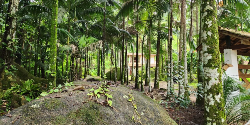 WhatsApp Image 2025-04-21 at 10.43.36 (1)