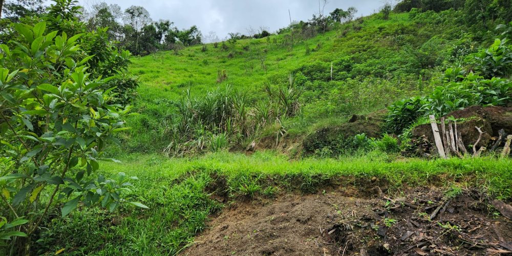 WhatsApp Image 2025-04-21 at 10.43.36 (2)