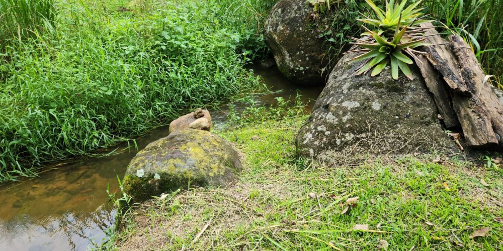 WhatsApp Image 2025-04-21 at 10.43.37 (1)