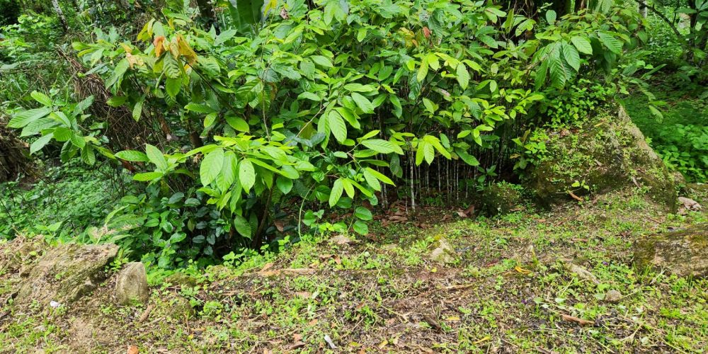 WhatsApp Image 2025-04-21 at 10.43.37 (2)