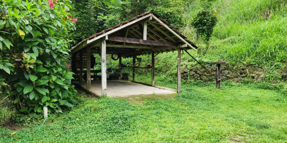 WhatsApp Image 2025-04-21 at 10.43.38