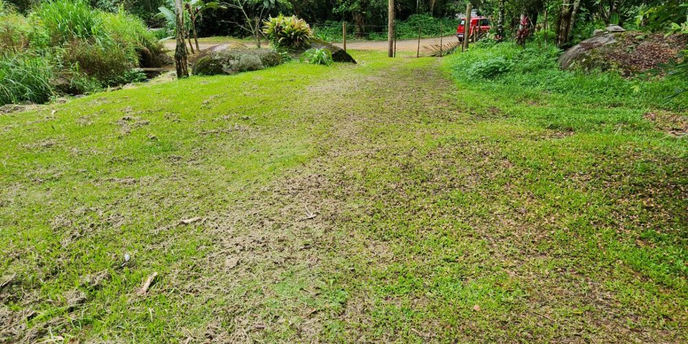 WhatsApp Image 2025-04-21 at 10.43.39 (1)