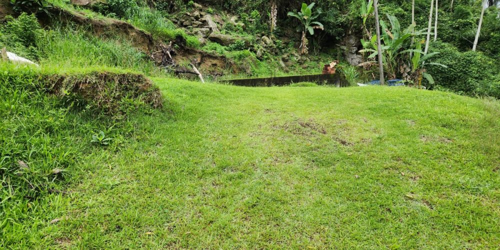 WhatsApp Image 2025-04-21 at 10.43.39 (2)