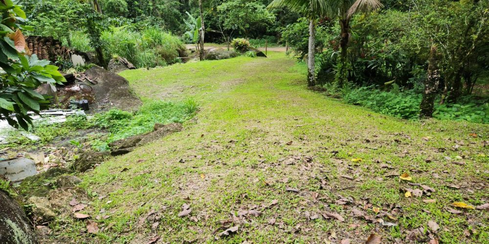 WhatsApp Image 2025-04-21 at 10.43.40 (1)