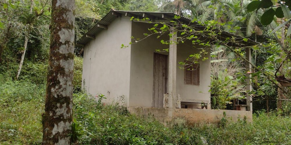 WhatsApp Image 2025-04-21 at 11.07.02 (2)