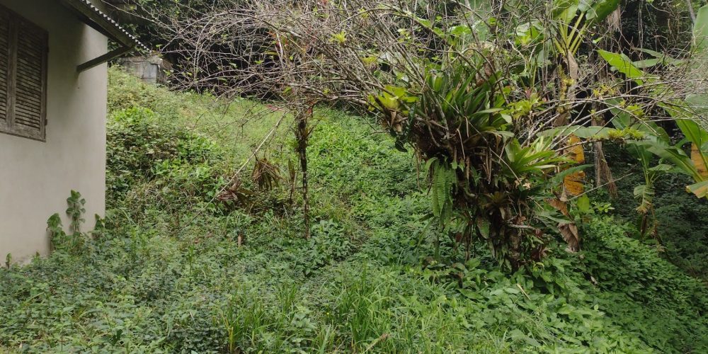 WhatsApp Image 2025-04-21 at 11.07.04