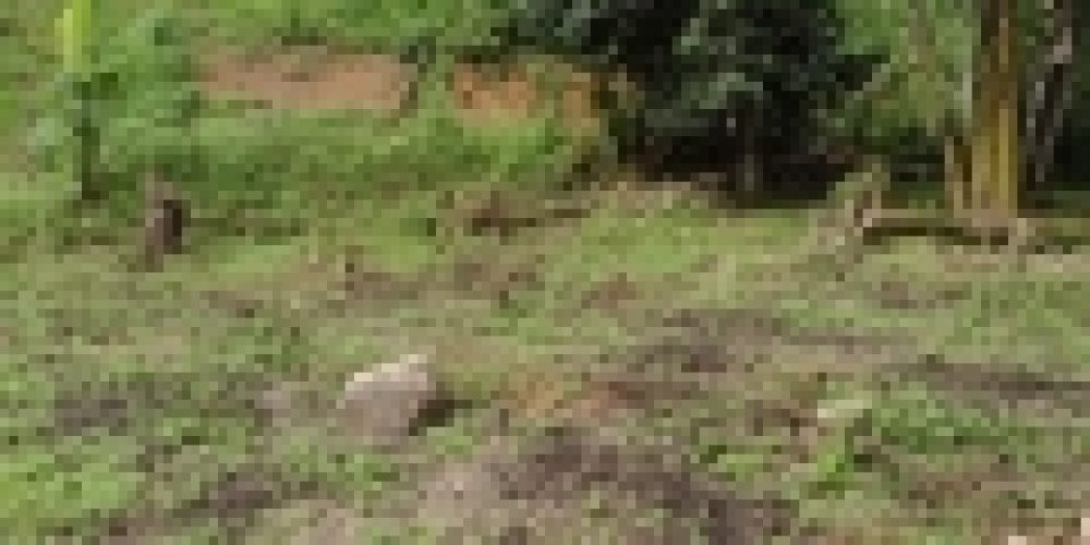 WhatsApp Image 2025-04-21 at 11.07.08 (1)