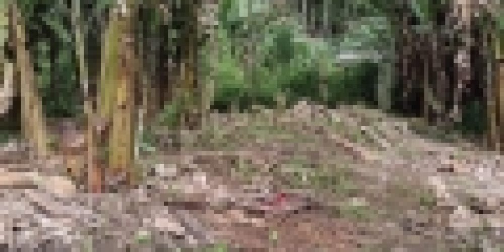 WhatsApp Image 2025-04-21 at 11.07.09 (1)