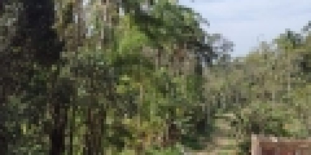 WhatsApp Image 2025-04-21 at 11.07.09